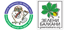 dark logo